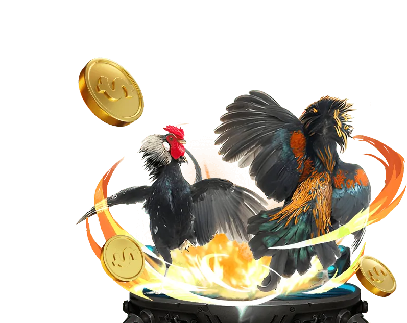 Cảnh đá gà kịch tính tại mb6666
